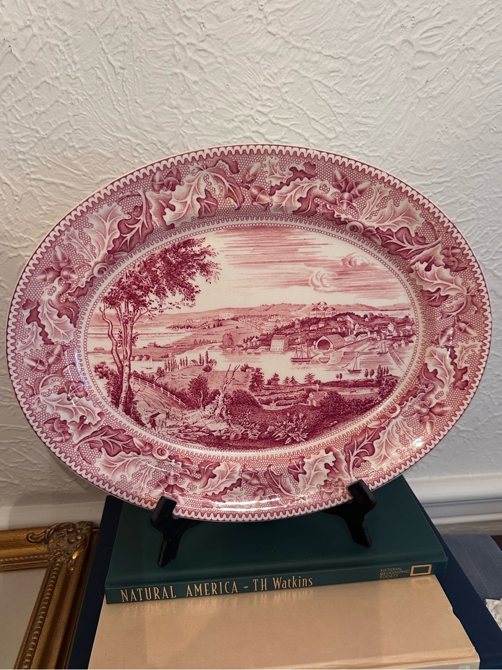 Johnson Brothers Pink Historic America  14.25" OVAL PLATTER View Washington DC